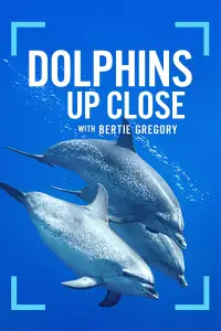 Poster to the movie "Dolphins Up Close with Bertie Gregory" #925246