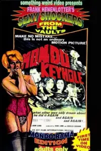 Poster to the movie "Mondo Keyhole" #1224901