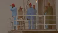 Backdrop to the movie "The Life Aquatic with Steve Zissou" #692974