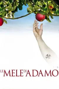 Poster to the movie "Adam