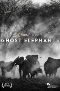 Poster to the movie "Ghost Elephants" #670883