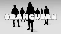 Backdrop to the movie "Orangutan" #704898