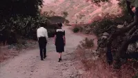 Backdrop to the movie "The Godfather" #709850