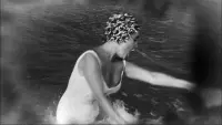 Backdrop to the movie "Suddenly, Last Summer" #572735