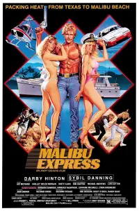 Poster to the movie "Malibu Express" #957649