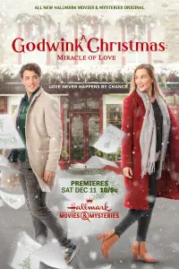 Poster to the movie "A Godwink Christmas: Miracle of Love" #1039813