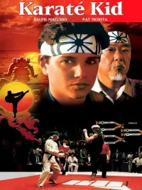 Poster to the movie "The Karate Kid" #956357