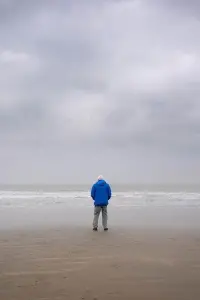 Ocean with David Attenborough