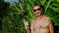Backdrop to the movie "Gringo: The Dangerous Life of John McAfee" #971497