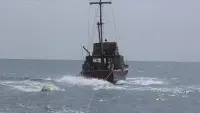 Backdrop to the movie "Jaws" #815593