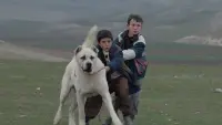 Backdrop to the movie "Sivas" #772801