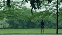 Backdrop to the movie "Columbus" #856368