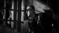 Backdrop to the movie "The Bride of Frankenstein" #809017
