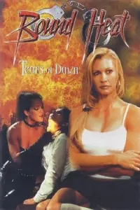 Poster to the movie "The Final Victim" #781870