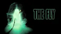 Backdrop to the movie "The Fly" #923275