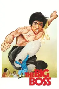 Poster to the movie "The Big Boss" #968451