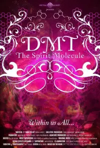 Poster to the movie "DMT: The Spirit Molecule" #1116140