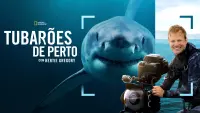 Backdrop to the movie "Sharks Up Close with Bertie Gregory" #802086
