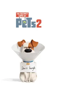 Poster to the movie "The Secret Life of Pets 2" #702069