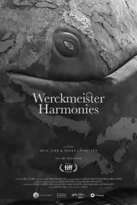 Poster to the movie "Werckmeister Harmonies" #1000158