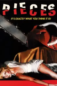 Poster to the movie "Pieces" #1146072