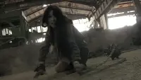 Backdrop to the movie "Onechanbara: Bikini Samurai Squad" #730934