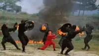 Backdrop to the movie "The Challenge of the Lady Ninja" #732230