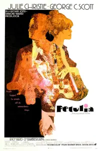 Poster to the movie "Petulia" #674424