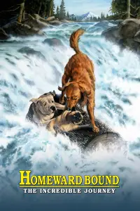Poster to the movie "Homeward Bound: The Incredible Journey" #956445