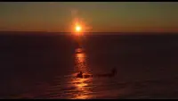 Backdrop to the movie "Antarctica" #798452