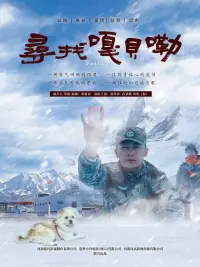 Poster to the movie "Find Gabelle" #830863