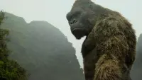 Backdrop to the movie "Kong: Skull Island" #853461