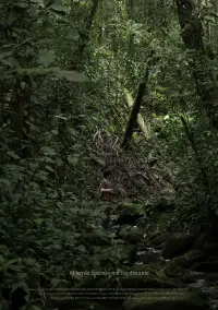 O verde fascínio me faz distante