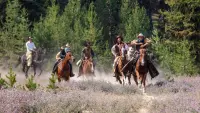 Backdrop to the movie "Trail of Justice" #728502