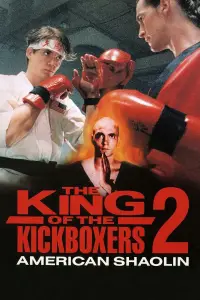 Poster to the movie "American Shaolin" #1116205