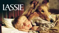 Backdrop to the movie "Lassie" #686454