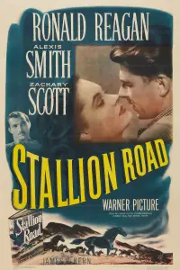 Poster to the movie "Stallion Road" #1171318