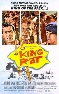 Poster to the movie "King Rat" #744390