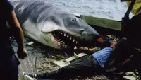 Backdrop to the movie "Jaws @ 50: The Definitive Inside Story" #819694