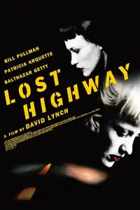 Poster to the movie "Lost Highway" #533693