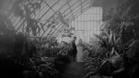 Backdrop to the movie "Nightmare Castle" #698260