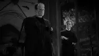 Backdrop to the movie "The Bride of Frankenstein" #1020264