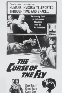 Poster to the movie "Curse of the Fly" #973221