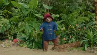 Backdrop to the movie "Paddington in Peru" #689246
