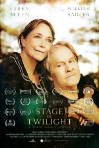 Poster to the movie "A Stage of Twilight" #745860