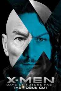 Poster to the movie "X-Men: Days of Future Past" #922828