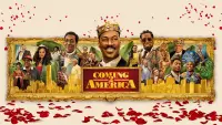 Backdrop to the movie "Coming 2 America" #287600