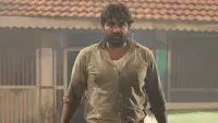 Backdrop to the movie "Thalaivan Thalaivii" #816826