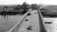 Backdrop to the movie "The Bridge" #435878