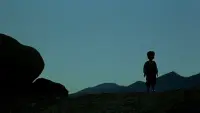 Backdrop to the movie "Turtles Can Fly" #784228